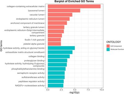 Genetic insight into the putative causal proteins and druggable targets of osteoporosis: a large-scale proteome-wide mendelian randomization study